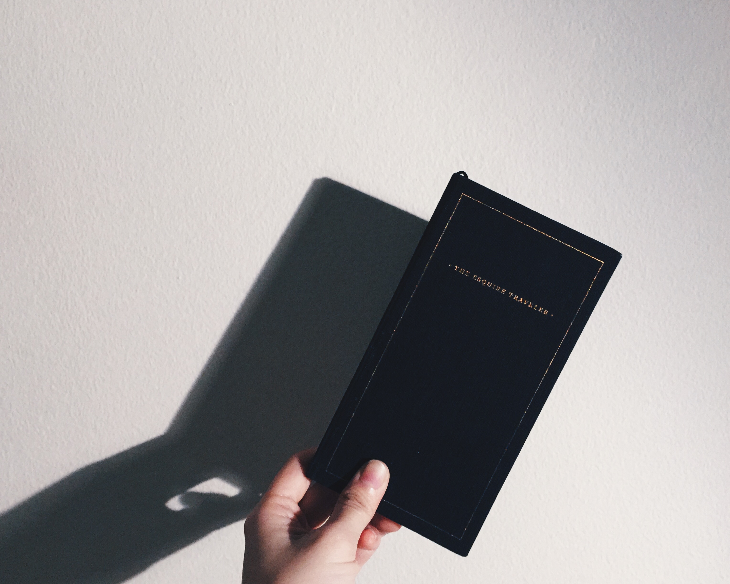 Processed with VSCOcam with hb2 preset