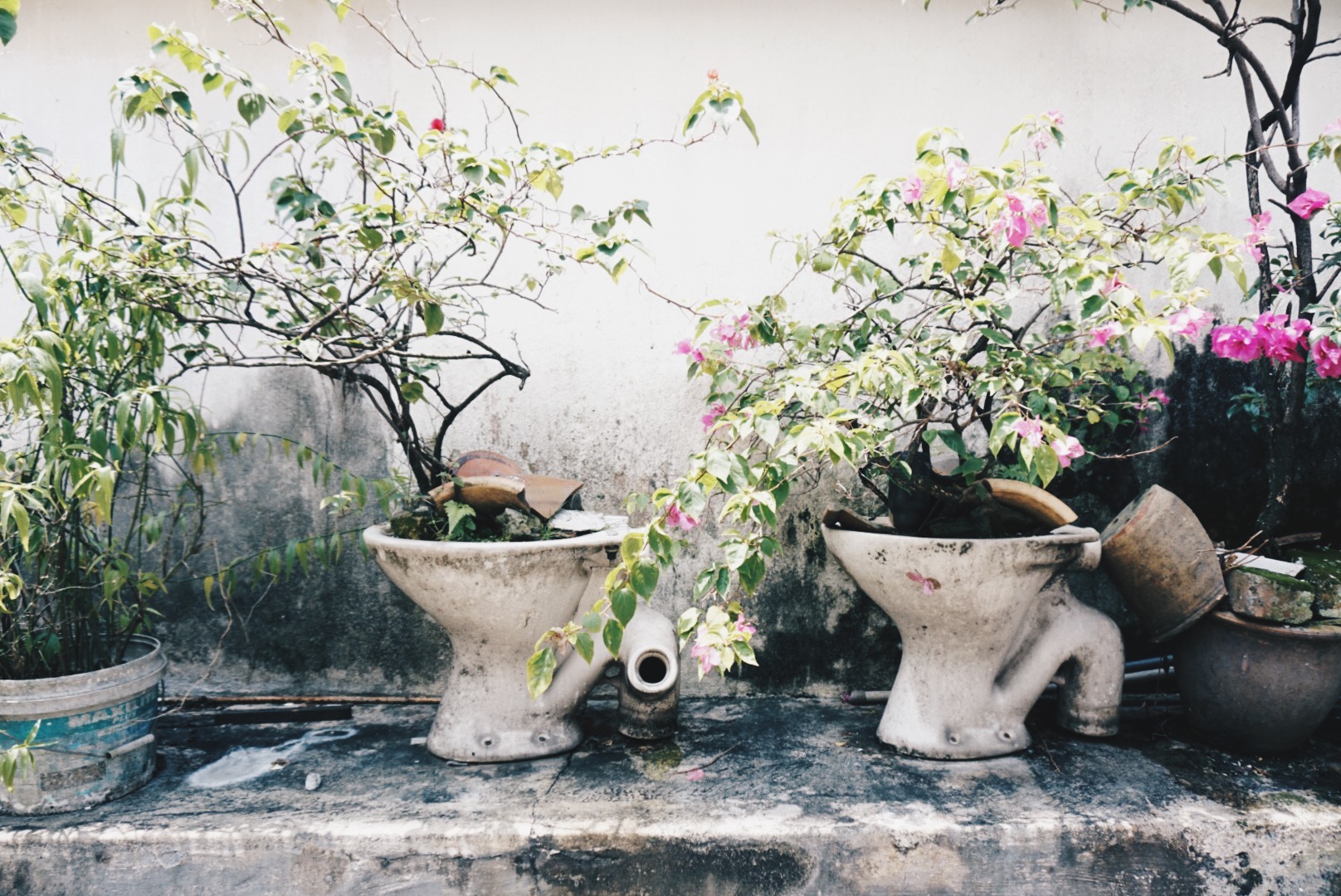 Processed with VSCO with hb2 preset