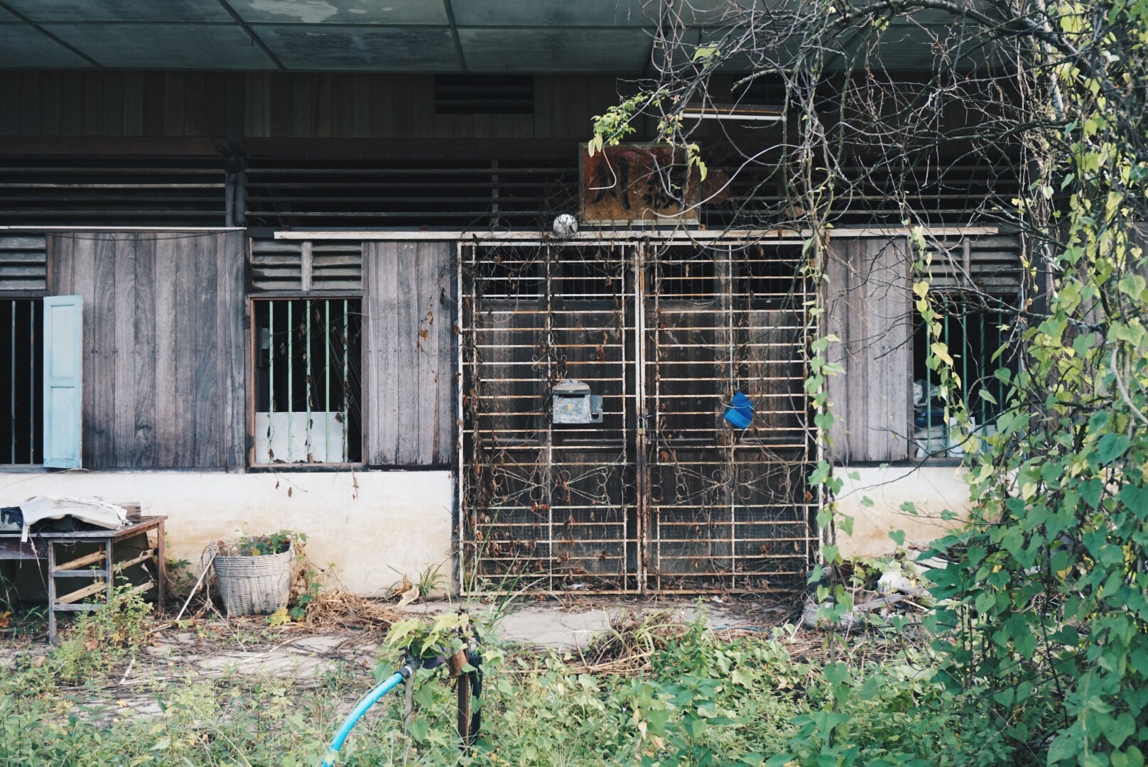 Processed with VSCO with hb2 preset