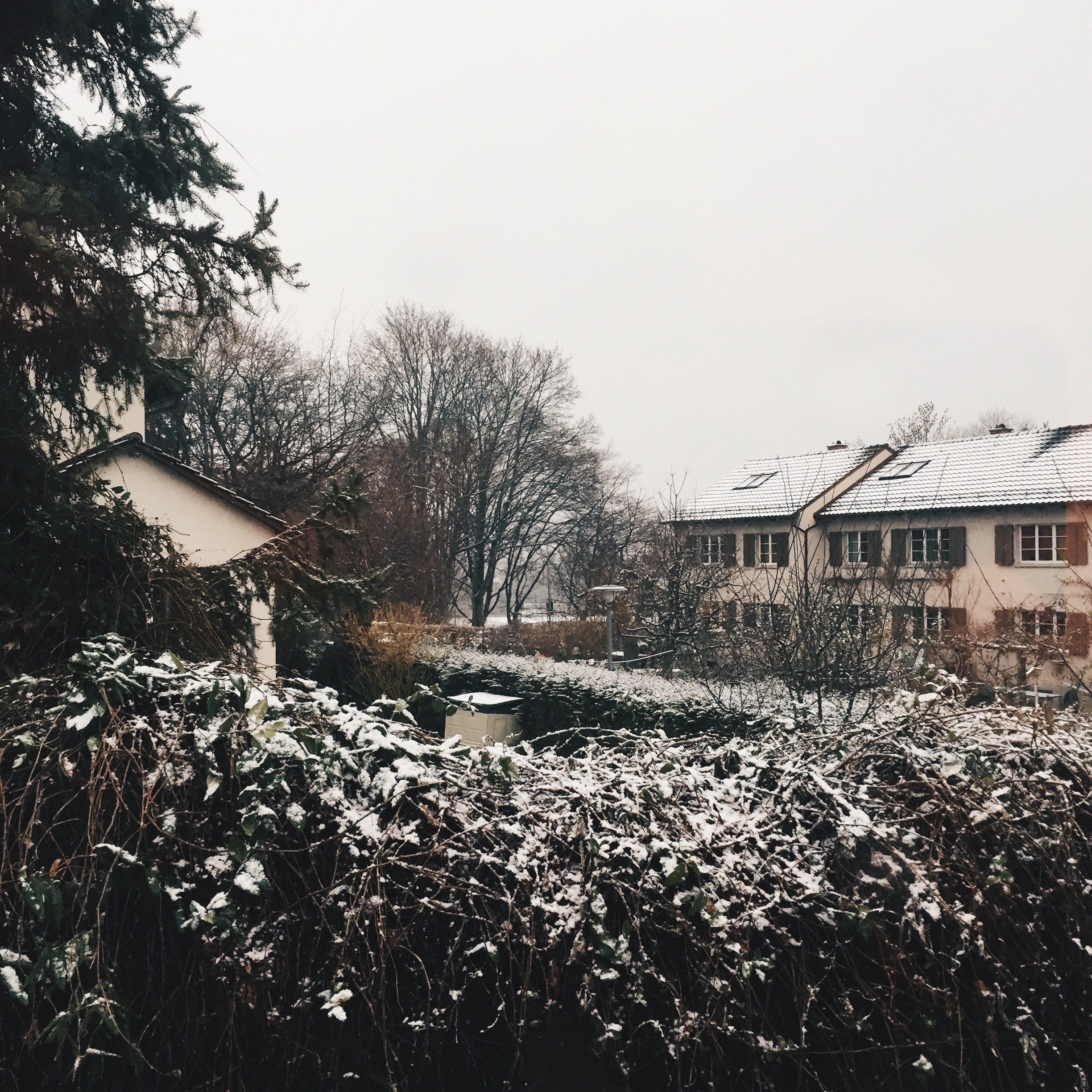 Processed with VSCOcam with hb2 preset