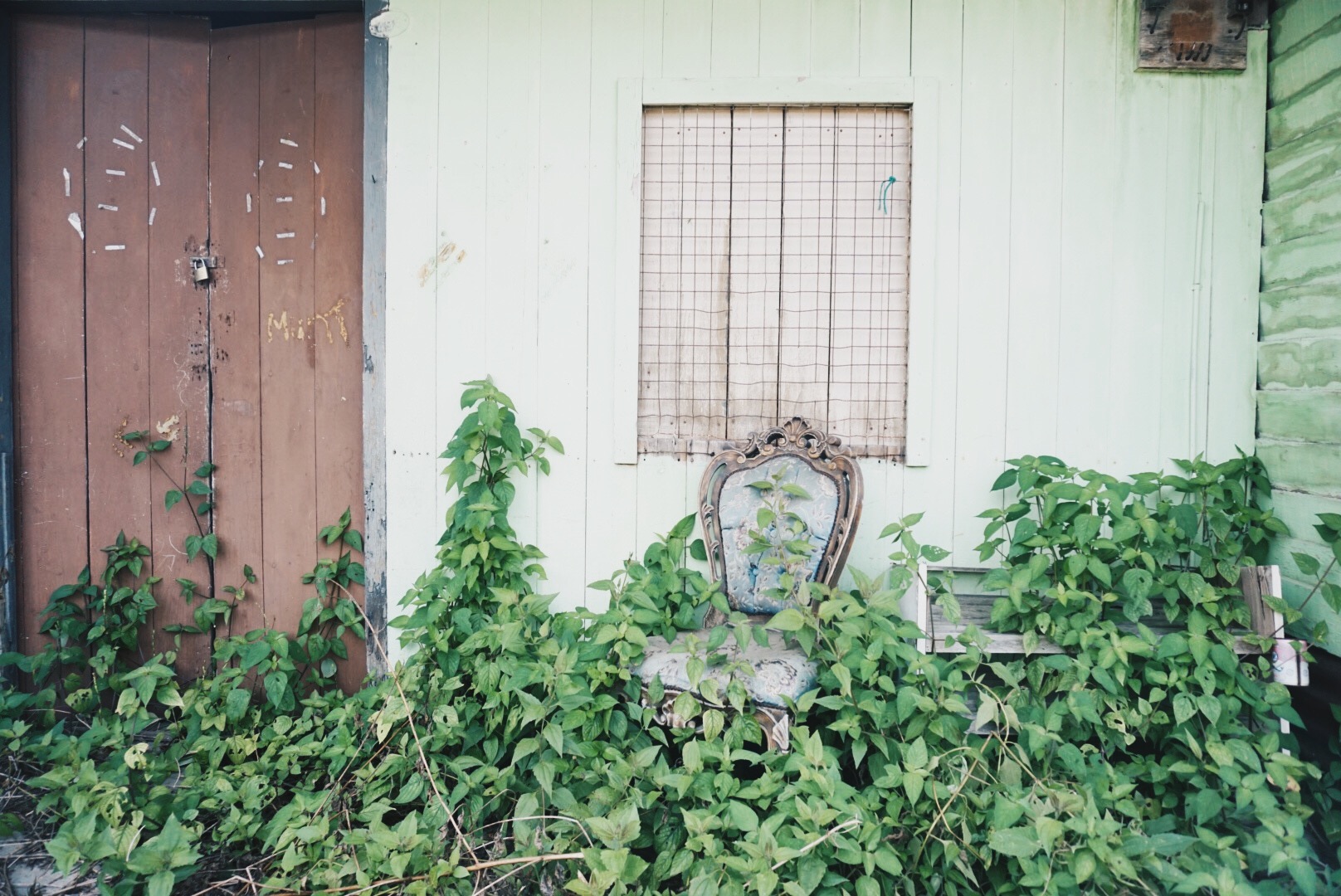 Processed with VSCO with hb2 preset